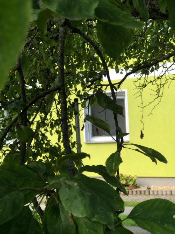 Dirks Schmuckstuck Villa Weisswasser Exterior foto